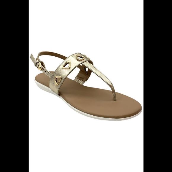 Aerosoles Women's Lago Round Toe Thong Sandal Gold Metallic - Medium - Picture 1 of 3